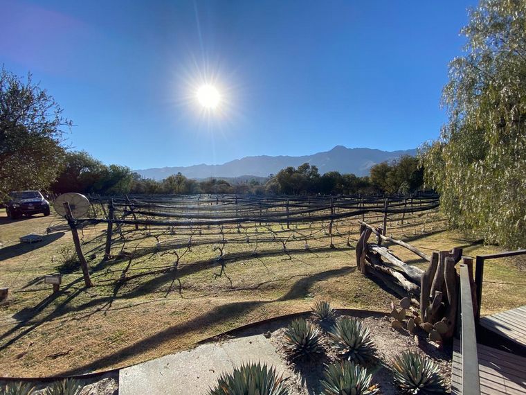 Siempre Juntos, desde Aráoz de Lamadrid.