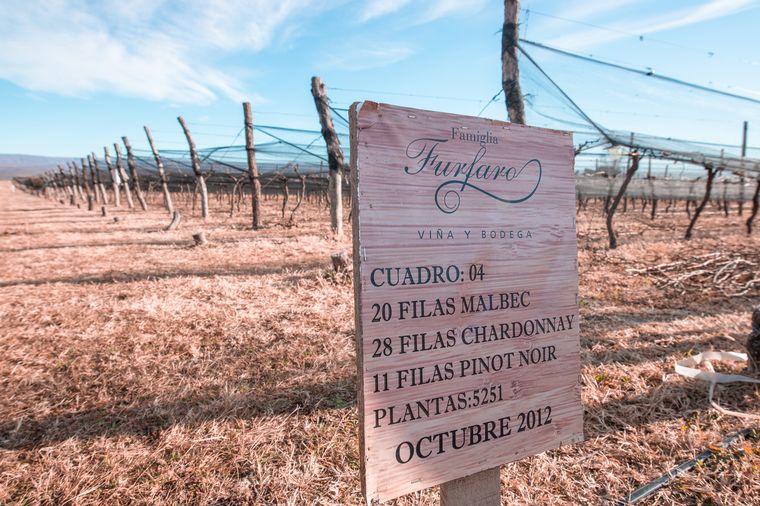 Bodega Familia Furfaro