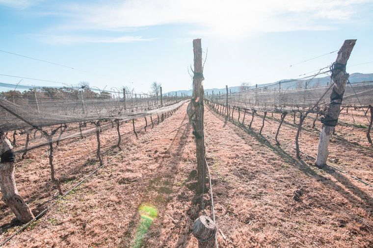 Bodega Familia Furfaro