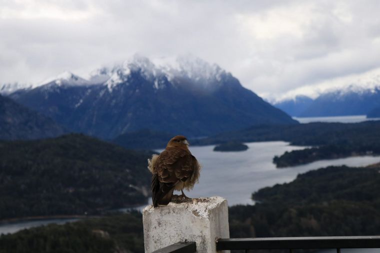 La imponente vista panorámica del Cerro Campanario en Bariloche.