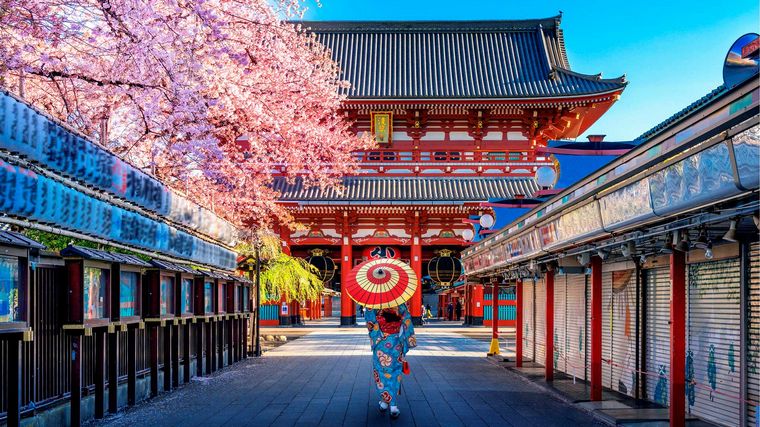 Cuatro libros para enamorarse de Japón, sede de los JJ.OO