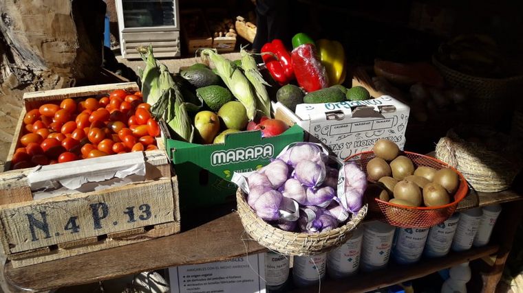 Aloe, una huerta orgánica en Las Tapias