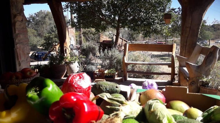 Aloe, una huerta orgánica en Las Tapias