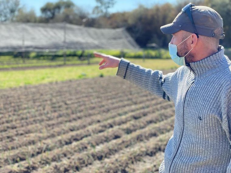 Aloe, una huerta orgánica en Las Tapias