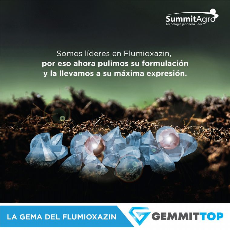 El Flumioxazin pronto estará al alcance del productor