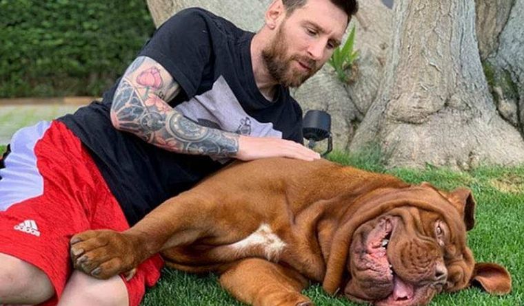 Qué pasó con Hulk, el enorme perro de messi