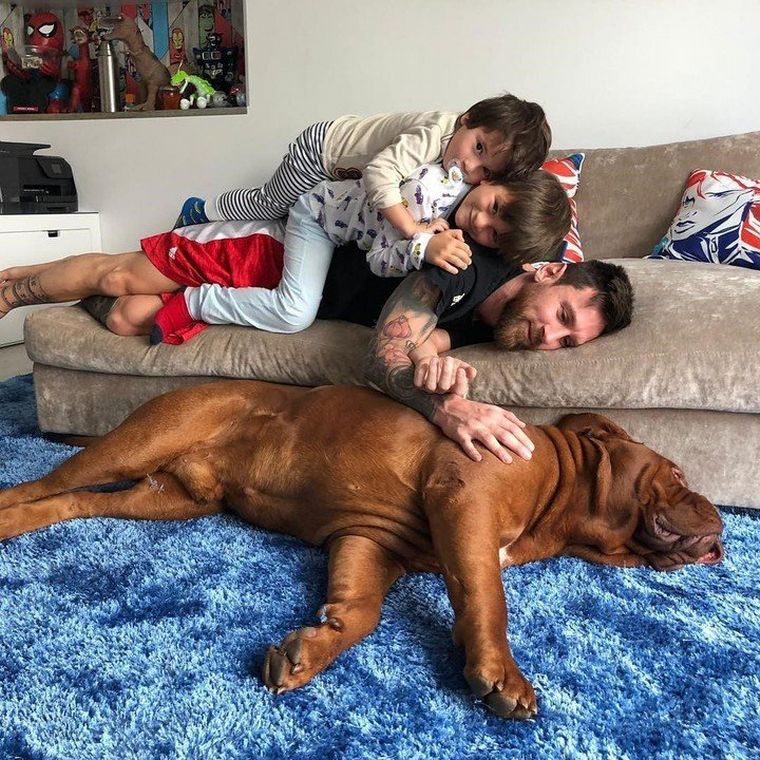 Qué pasó con Hulk, el enorme perro de Messi