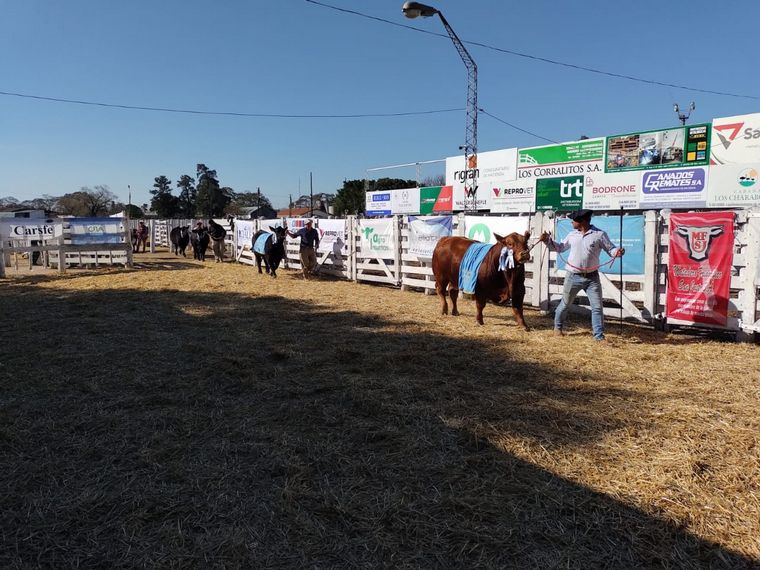 A la pista. Al final de la jura, los campeones desfilaron.