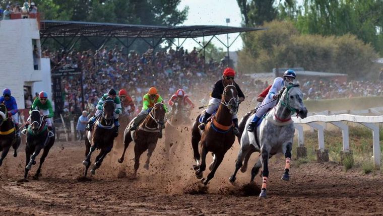 Drogaron a un caballo de carreras y murió al cruzar la meta