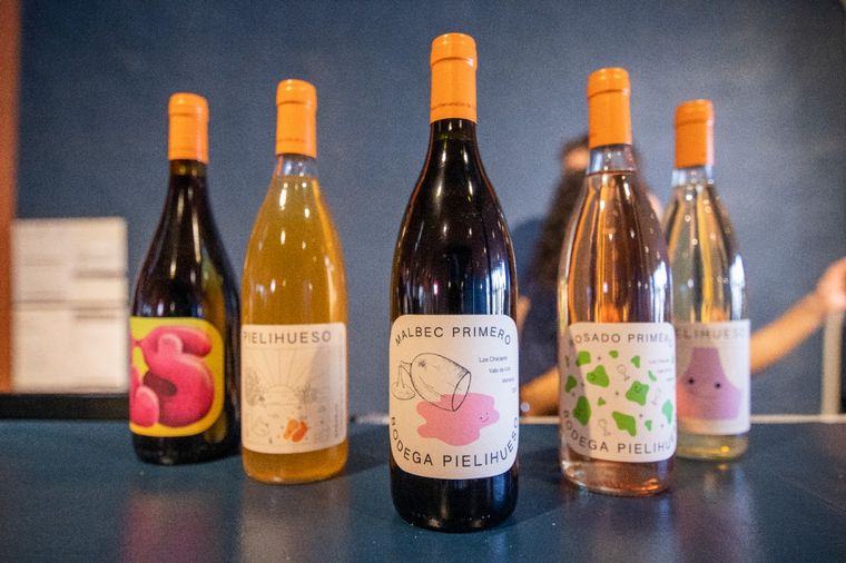 Los vinos de Pielihueso se trabajan con poca intervención en la bodega.