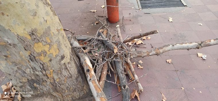 El Zonda alcanzó velocidades de hasta 27 km/h en Mendoza