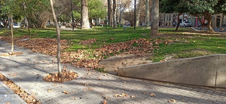 El Zonda alcanzó velocidades de hasta 27 km/h en Mendoza