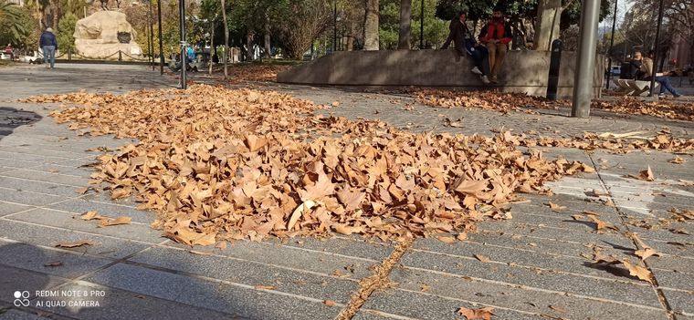 El Zonda alcanzó velocidades de hasta 27 km/h en Mendoza