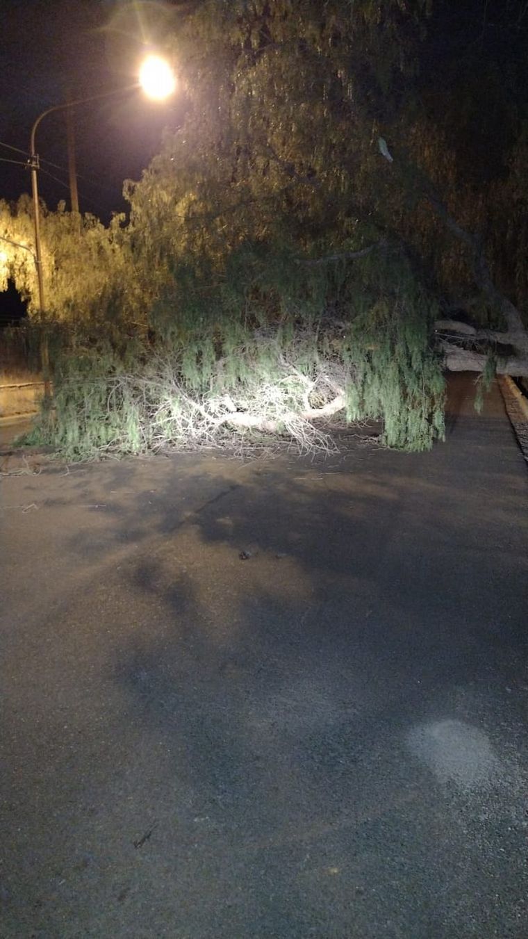 El Zonda alcanzó velocidades de hasta 27 km/h en Mendoza