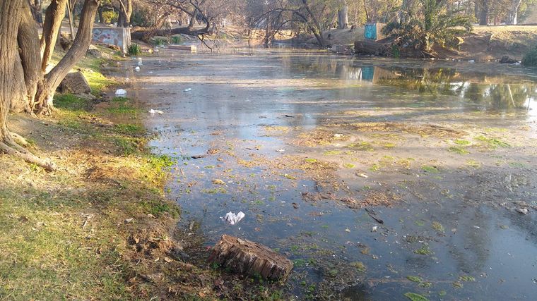 AUDIO: Preocupa el estado de la Laguna del Parque Sarmiento