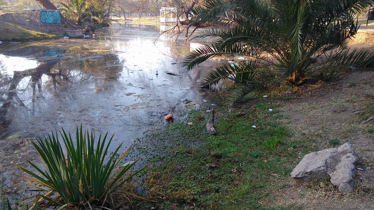 FOTO: La Laguna de los Patos, plagada de algas y basura