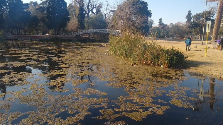 La Laguna de los Patos, plagada de algas y basura