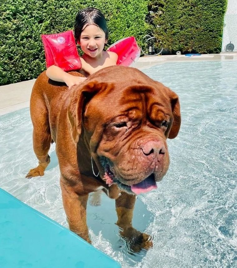 Los Messi volaron a Barcelona y se reencontraron con sus perros