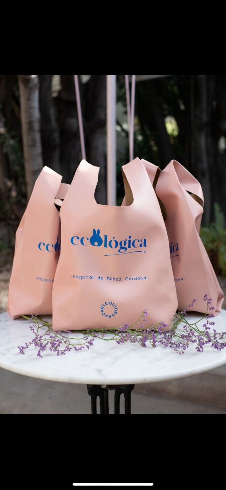 Conejos solidarios 2021, un proyecto para ayudar al Hospital de Niños de Córdoba