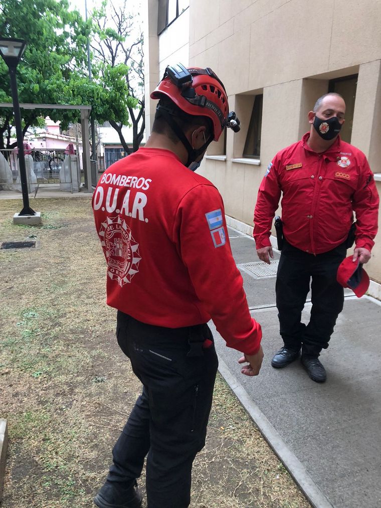 Rescataron a un gato en Tribunales II de Córdoba.