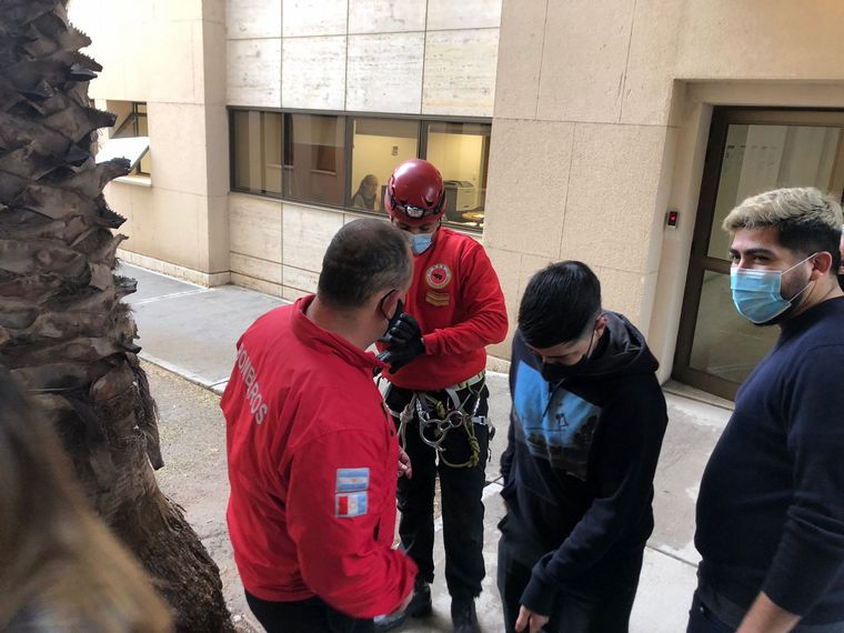 Rescataron a un gato en Tribunales II de Córdoba.