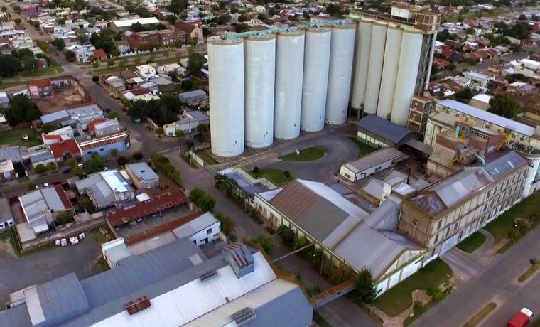 Molino Cañuelas opera 15 plantas en el país.