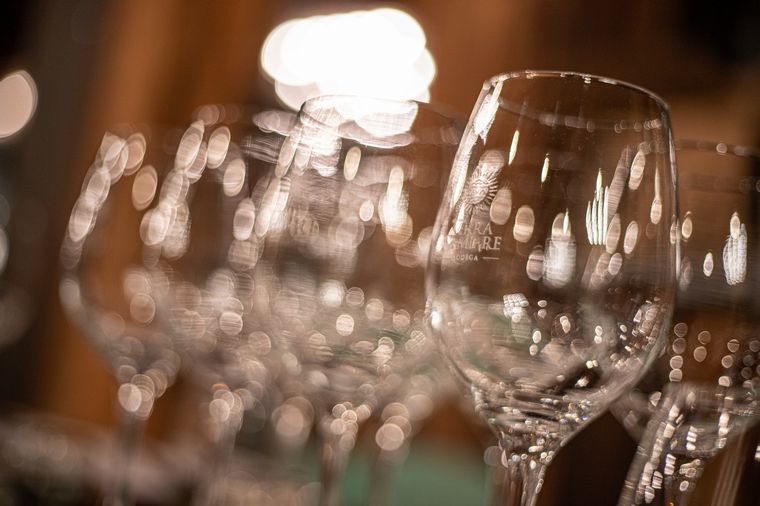 César Lanza Castelli