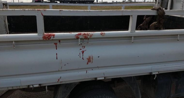 Rescataron a un perro que era arrastrado por una camioneta en autopista