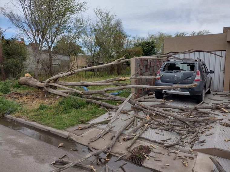 FOTO: Fuertes ráfagas de viento causaron daños en Villa María y Bell Ville.