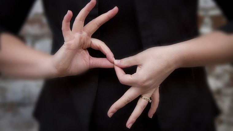 FOTO: ¿Es lengua o lenguaje de señas?