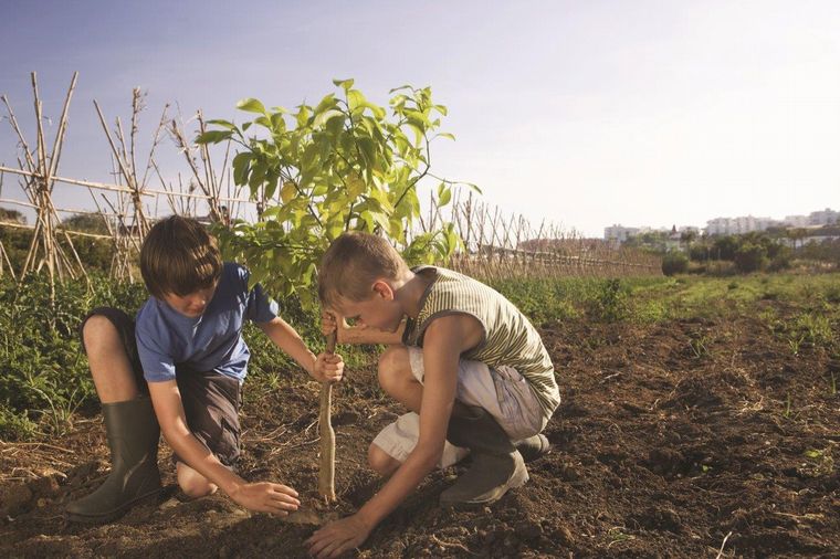 Afrontar los retos del futuro con innovaciones sustentables