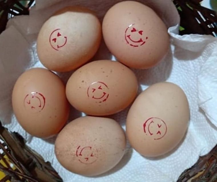 FOTO: Abril cría 800 gallinas y vende los huevos en su pueblo, Villa Mugueta, en Santa Fe.