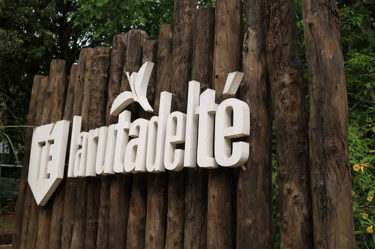 Los secretos para el mejor té desde la Ruta del Té misionera