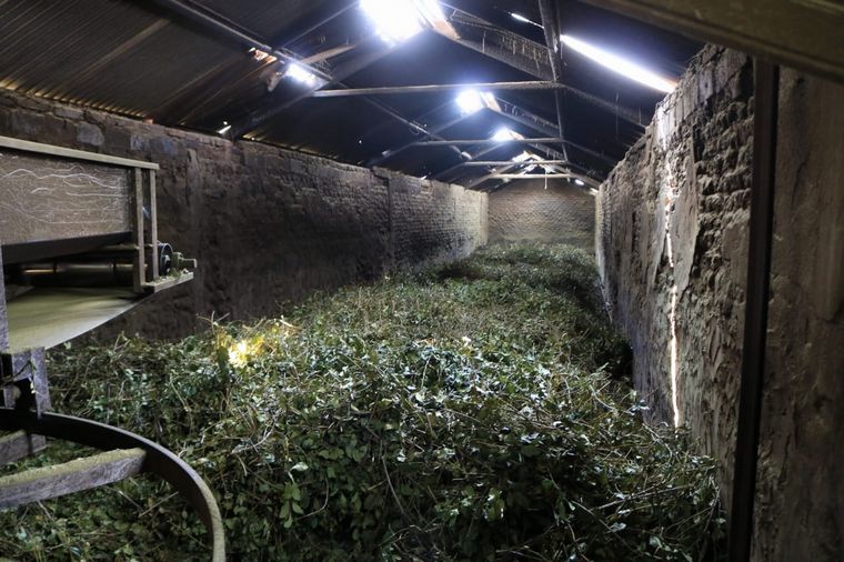 Casa de Mate y yerbales en Apóstoles, Misiones.