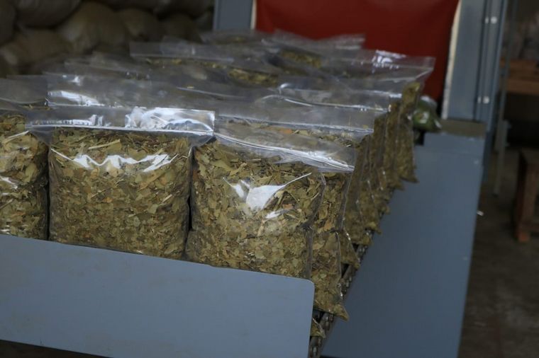 Casa de Mate y yerbales en Apóstoles, Misiones.