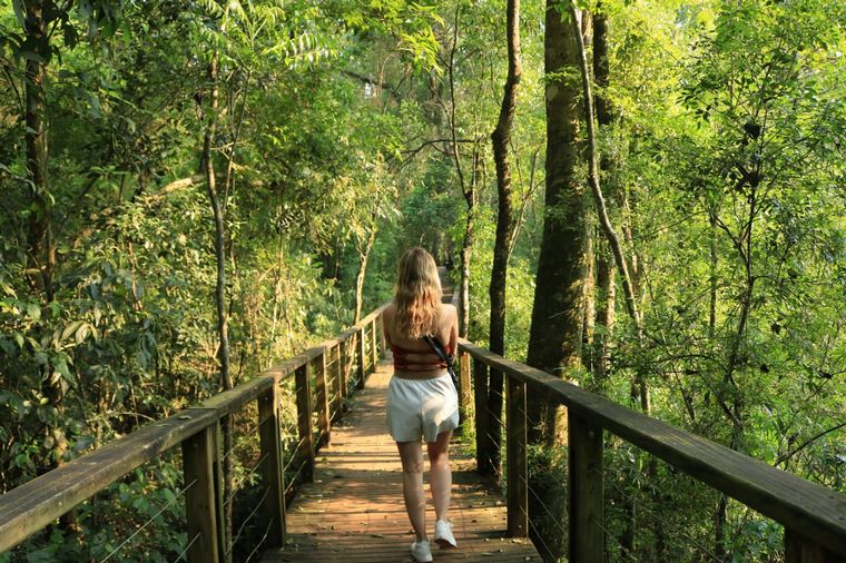 Salto Encantado, un atractivo ideal para los amantes del turismo aventura en Misiones