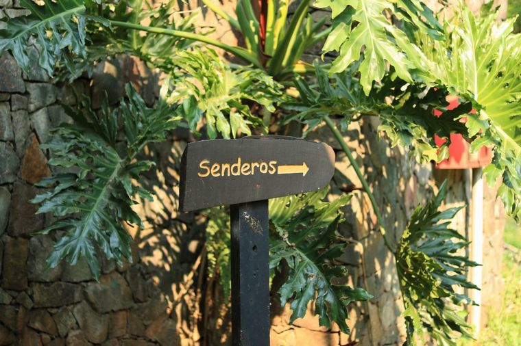 Salto Encantado, un atractivo ideal para los amantes del turismo aventura en Misiones