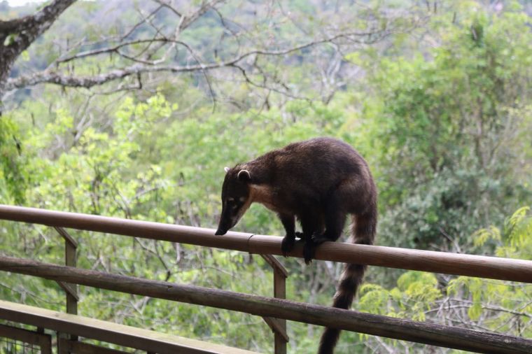 Agus Vivanco en la Garganta del Diablo 