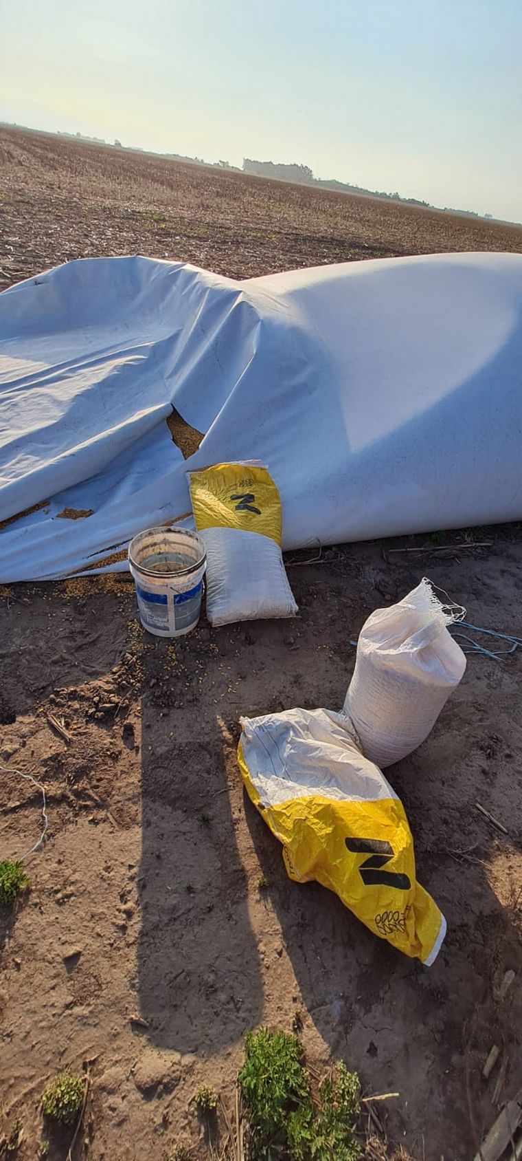 Dos detenidos por ataques a silobolsas en El Tío