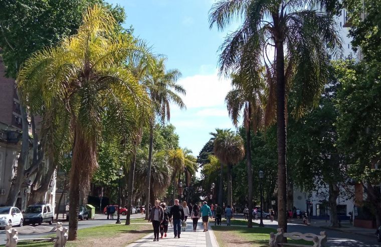 Día Mundial del Corazón