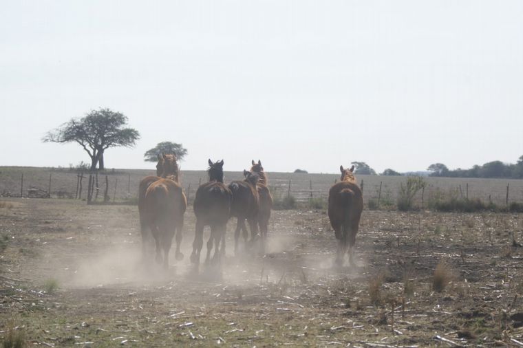 Incendio en el norte cordobés