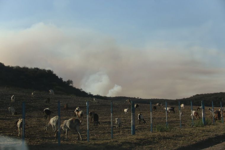 Incendio en el norte cordobés