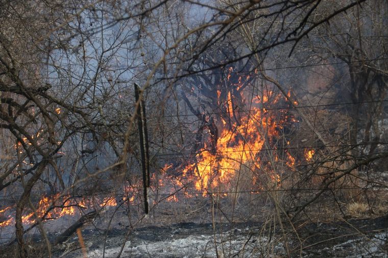 FOTO: Incendio en el norte cordobés