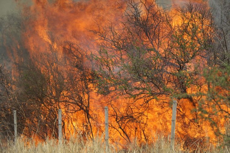 Incendios en Córdoba 