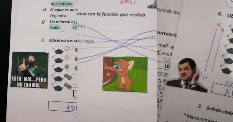 FOTO: Una maestra se hizo viral al corregir evaluaciones con memes