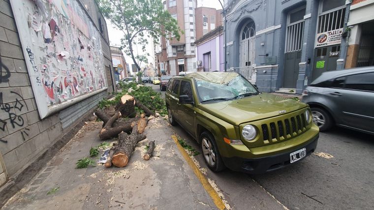 Un árbol aplastó una camioneta y no hay muertos de milagro.