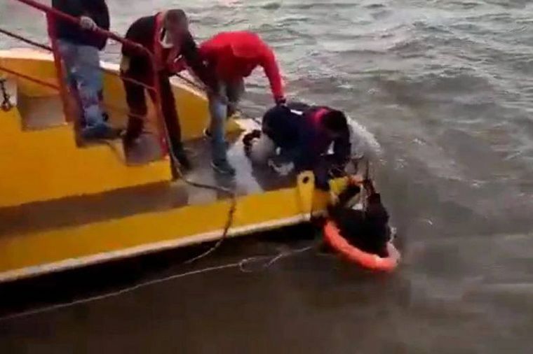 En la mañana de este viernes encontraron a dos náufragos en el Rio de la Plata.