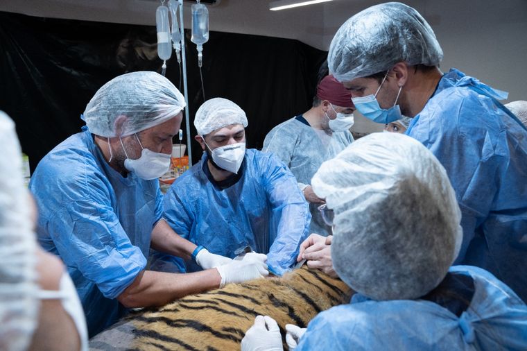 Jorobada tenía 20 años y un tumor agravó su cuadro general de salud.