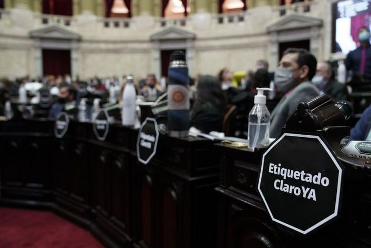 FOTO: El Congreso debate el proyecto de Ley de Etiquetado Frontal.