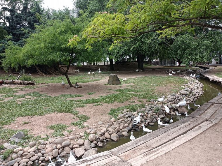 La granja de la Infancia